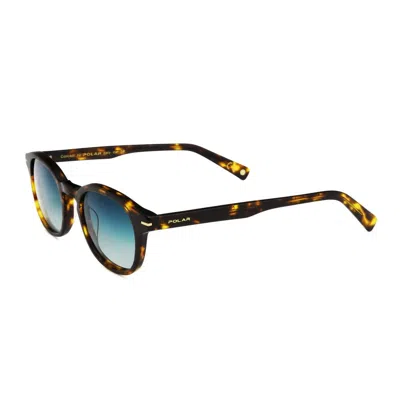 Polar Sunglasses In Brown