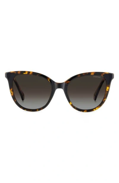 Polaroid 52mm Polarized Cat Eye Sunglasses