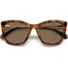 Polaroid 52mm Polarized Cat Eye Sunglasses In Havana/bronze Polar
