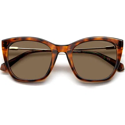 Polaroid 52mm Polarized Cat Eye Sunglasses In Havana/bronze Polar