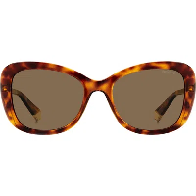 Polaroid 53mm Polarized Cat Eye Sunglasses In Havana/bronze Polar