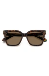 Polaroid 54mm Polarized Cat Eye Sunglasses In Z/dnuhavana/ Bronze Polar