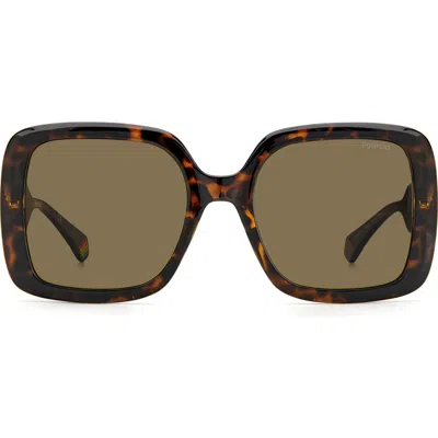 Polaroid 54mm Polarized Square Sunglasses In Havana/bronze Polar