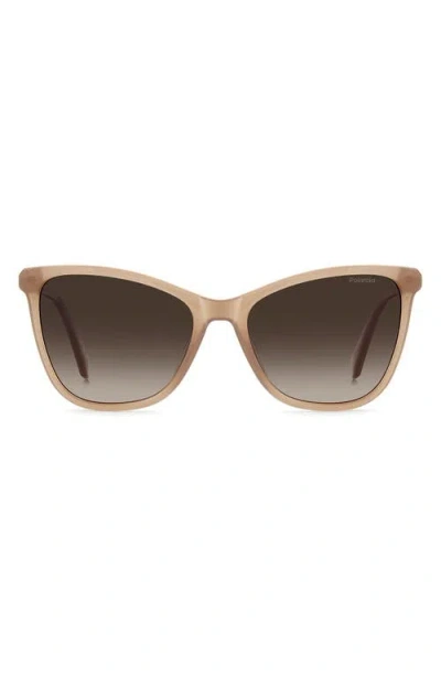 Polaroid 55mm Polarized Cat Eye Sunglasses In Brown
