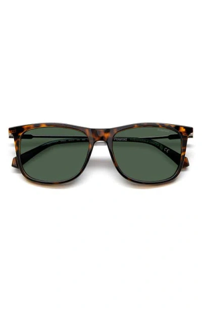 Polaroid 55mm Polarized Rectangular Sunglasses In Havana/green Polarized