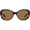Polaroid 55mm Polarized Round Sunglasses In Havana/bronze Polarized