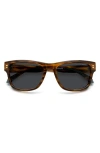 Polaroid 55mm Polarized Square Sunglasses In Brown