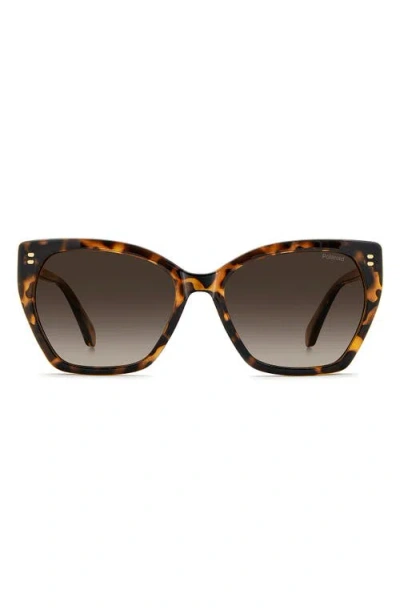 Polaroid 56mm Polarized Butterfly Sunglasses In Brown