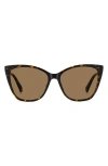 Polaroid 56mm Polarized Cat Eye Sunglasses In Brown