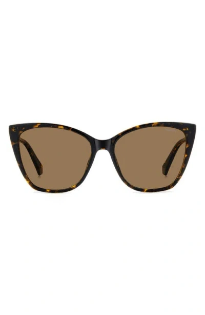 Polaroid 56mm Polarized Cat Eye Sunglasses In Havana/bronze Polar