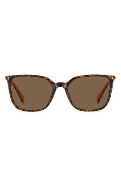 Polaroid 56mm Polarized Square Sunglasses In Brown