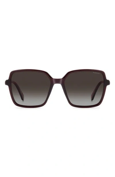 Polaroid 56mm Polarized Square Sunglasses In Black
