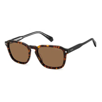 Polaroid Bicolor Acetate Sunglasses In Brown