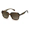 Polaroid Brown Acetate Sunglasses In Brown