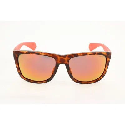 Polaroid Bicolor Rubber Sunglasses In Brown