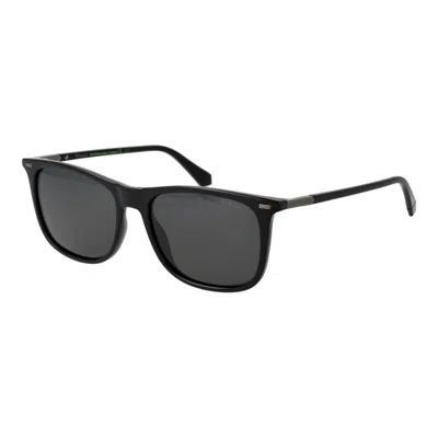 Polaroid Black Plastic Sunglasses