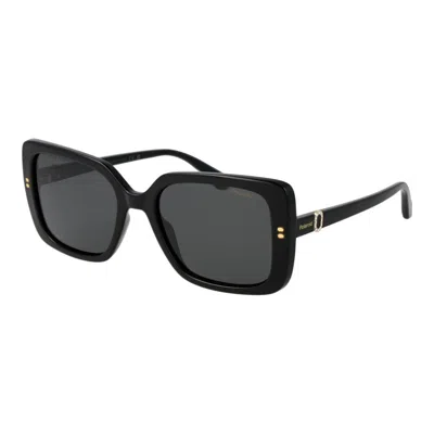 Polaroid Black Polycarbonate Sunglasses In Brown