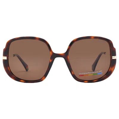 Polaroid Bronze Butterfly Ladies Sunglasses Pld 6181/s 0086/sp 53 In Brown
