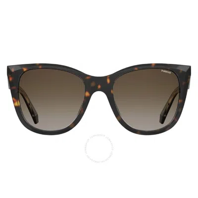 Polaroid Brown Cat Eye Ladies Sunglasses Pld 4096/s/x 0086/la 52 In Black