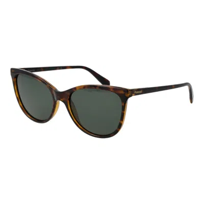 Polaroid Brown Plastic Sunglasses