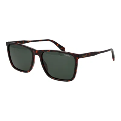 Polaroid Brown Polycarbonate Sunglasses