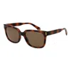 Polaroid Brown Polycarbonate Sunglasses In Brown