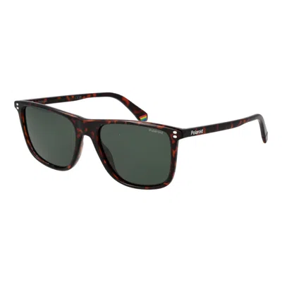 Polaroid Brown Polycarbonate Sunglasses In Multi