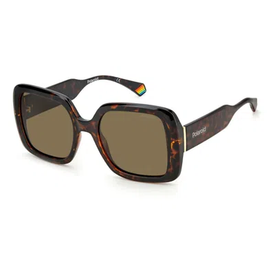 Polaroid Brown Resin Sunglasses In Black