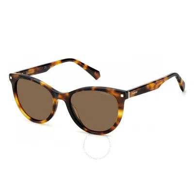 Polaroid Copper Cat Eye Ladies Sunglasses Pld 4111/s/x 0086/he 53