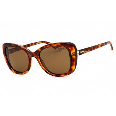 Polaroid Core Ladies Brown Cat Eye Sunglasses Pld4132sx In ["brown"]