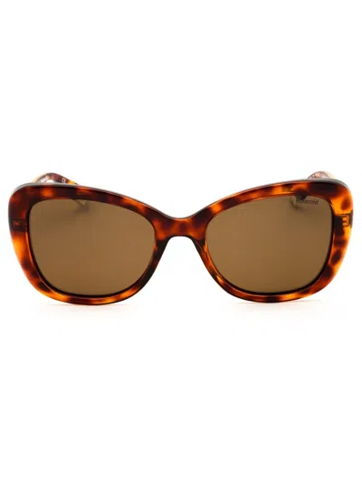 Polaroid Core Pld 4132/s/x Sunglasses In Havana  / Bronze Pz