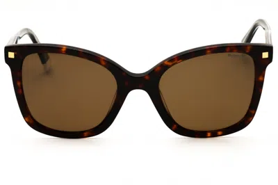 Polaroid Core Pld 4151/s/x Sunglasses In Hvn/brw Polar