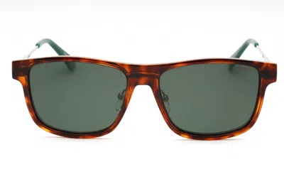 Polaroid Core Pld 6134/cs Sunglasses In Gold / Green Polarized