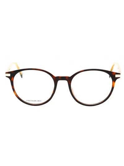 Polaroid Core Round Unisex Eyeglasses In Brown