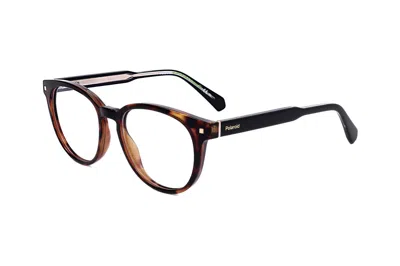 Polaroid Demo Round Unisex Eyeglasses Pld D445 0086 50 In Brown