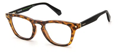 Polaroid Bicolor Cellulose P Frames In Brown