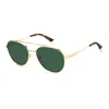 Polaroid Stainless Steel Men's Sunglasses