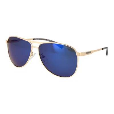 Polaroid Gold Stainless Steel Sunglasses In Multi