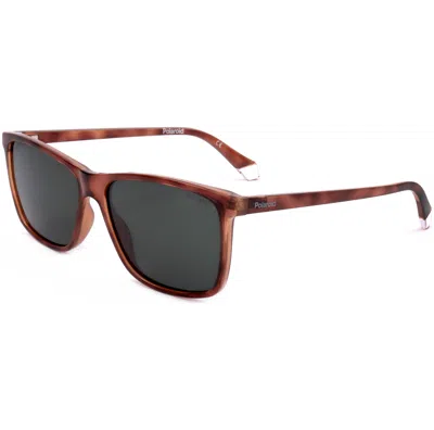 Polaroid Men's 58 Mm Brown Sunglasses In Gold