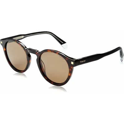 Polaroid Men's Sunglasses  Pld 4150_s_x Gbby2 In Brown