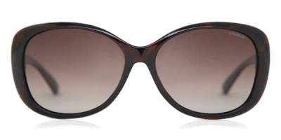 Polaroid P8317 Polarized 0bm/la Occhiali Da Sole Tartarugatishell Per Donna In Black