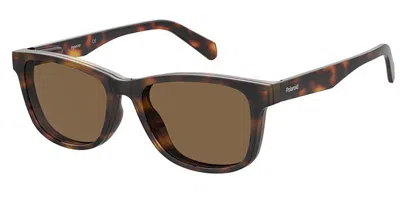 Polaroid Pld 0030/r/c Readers With Clip-on Men's Glasses, Tortoiseshell, Size +1.00 In Brown