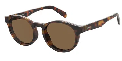Polaroid Pld 0031/r/c Readers With Clip-on Men's Glasses, Tortoiseshell, Size +1.00 In Brown