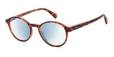 Polaroid Pld 0034/r/bb Readers Men's Glasses, Tortoiseshell, Size +1.00 In Red