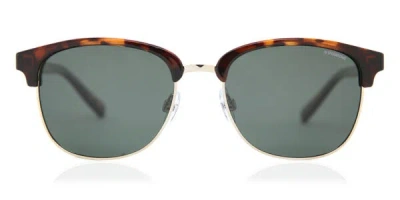 Polaroid Pld 1012/s Polarized Pr6/h8 Occhiali Da Sole Tartarugatishell Per Uomo In Brown