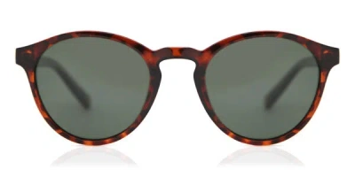Polaroid Pld 1013/s Polarized V08/h8 Occhiali Da Sole Tartarugatishell Per Uomo In Red