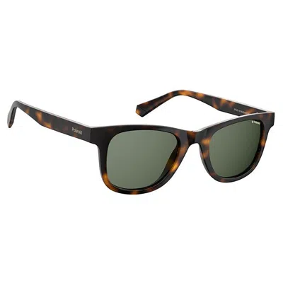 Polaroid Pld 1016/s/new 086 Uc Unisex Square Sunglasses In Brown