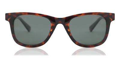 Polaroid Pld 1016/s/new 086/uc Occhiali Da Sole Tartarugatishell Per Uomo In Burgundy