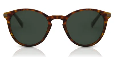 Polaroid Pld 2062/s Polarized N9p/uc Men's Sunglasses Tortoiseshell Size 50 In Brown