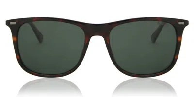 Polaroid Pld 2109/s Polarized 086/uc Occhiali Da Sole Tartarugatishell Per Uomo In Brown
